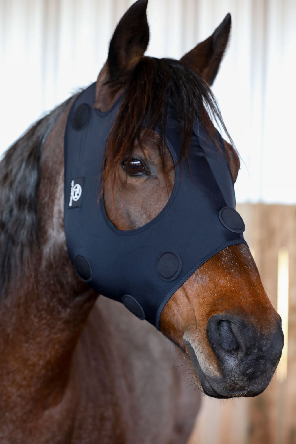 Magnetic Therapy Performance Mask