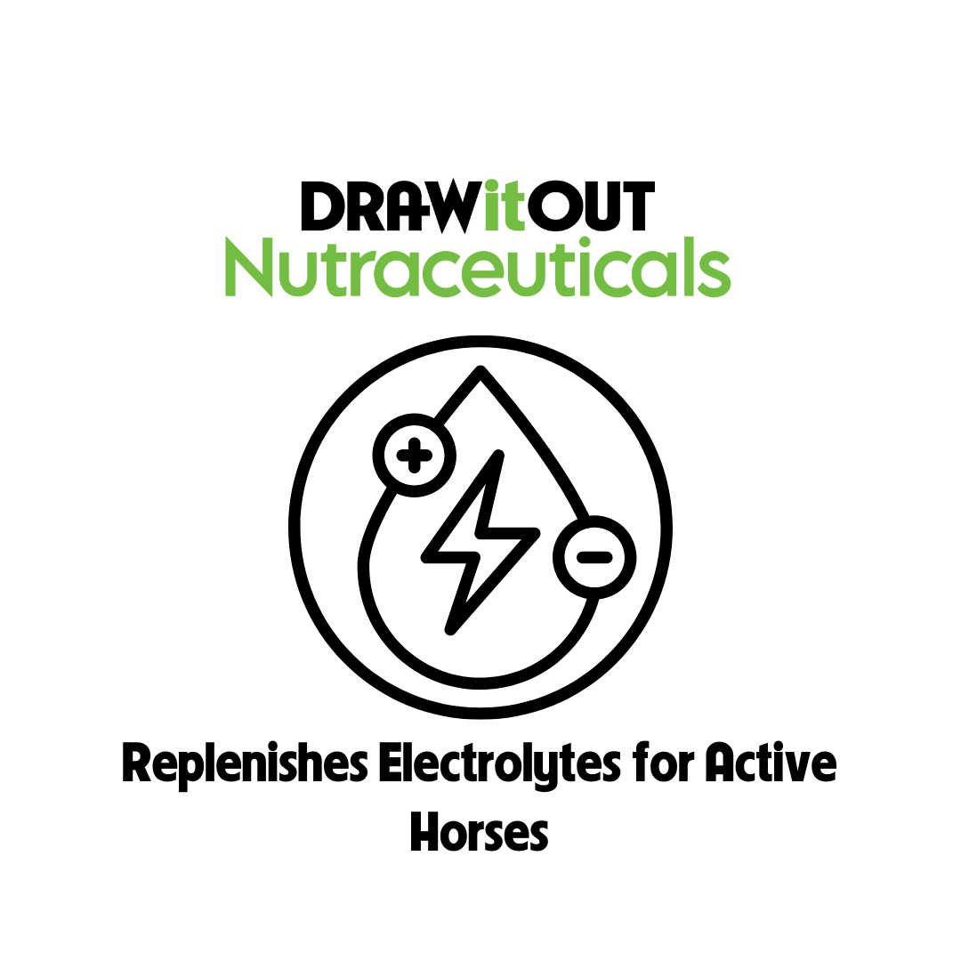 Hydro-Lyte® Electrolyte + Gut Recovery | Draw It Out®