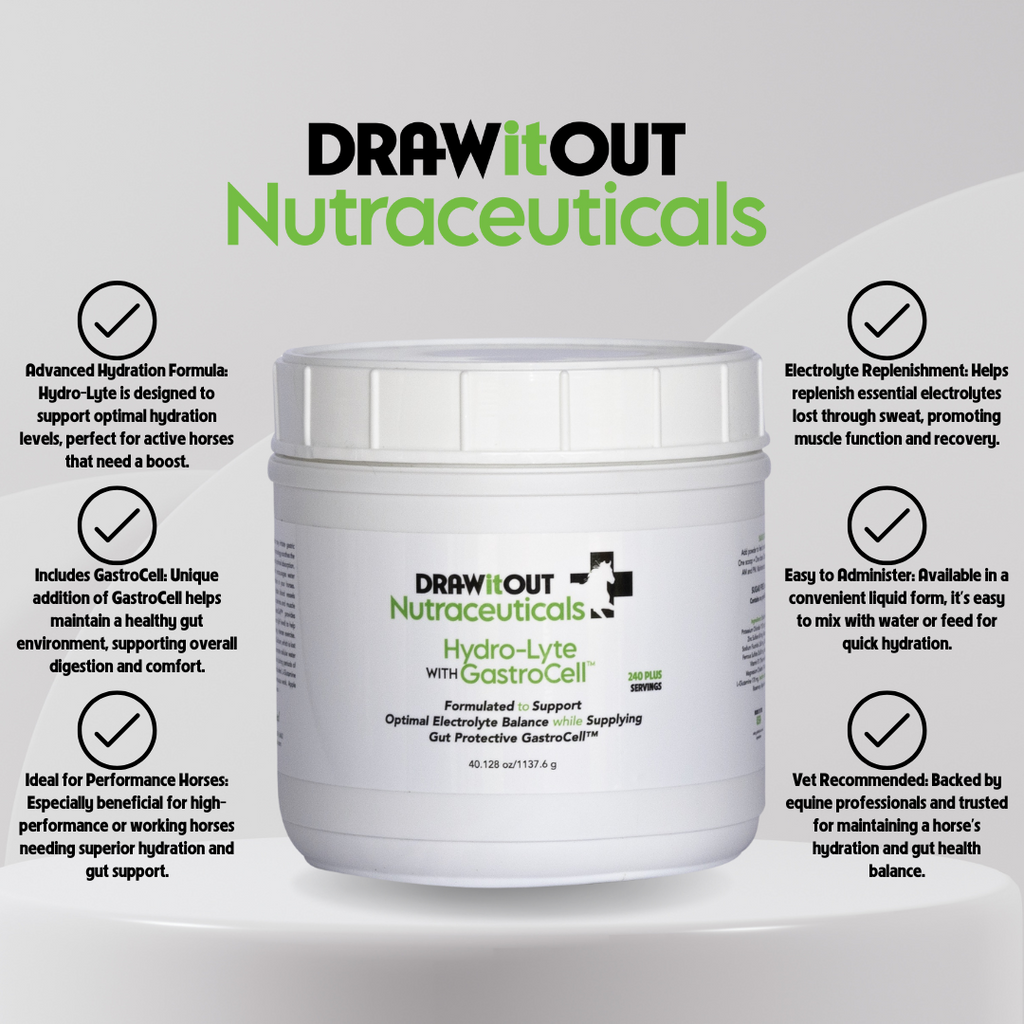 Hydro-Lyte® Electrolyte + Gut Recovery | Draw It Out®