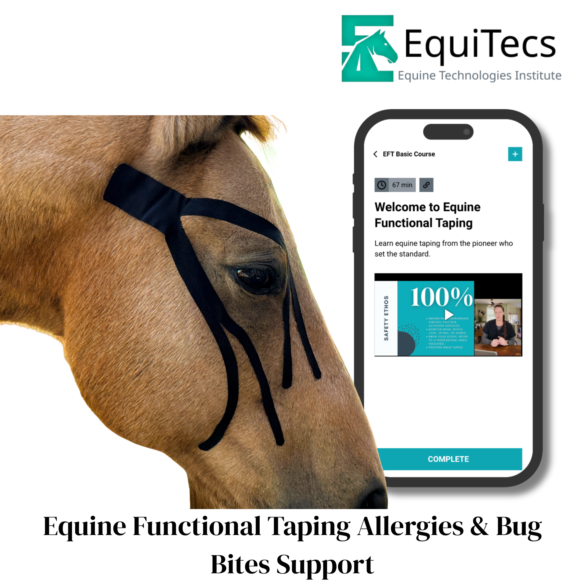 EquiTecs EFT Application Library