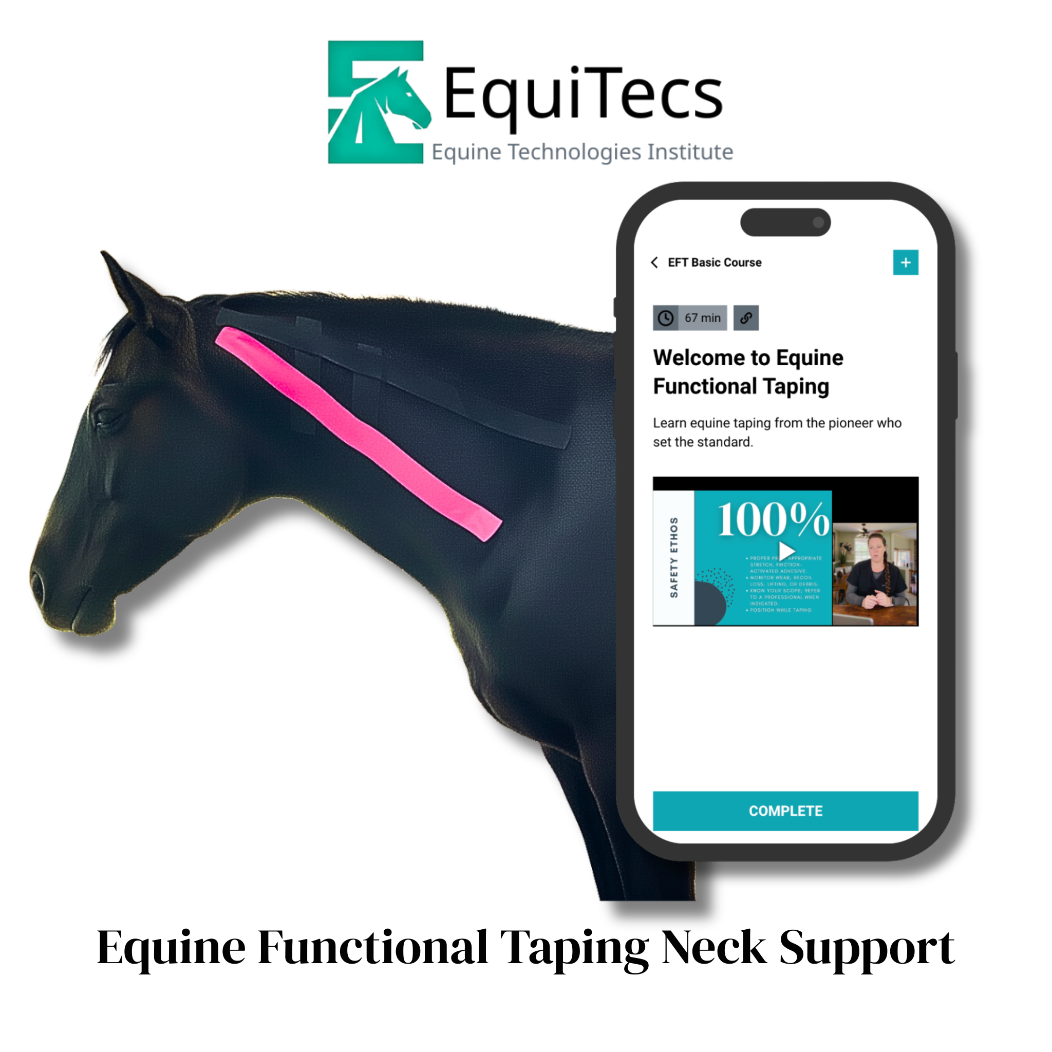 EquiTecs EFT Application Library