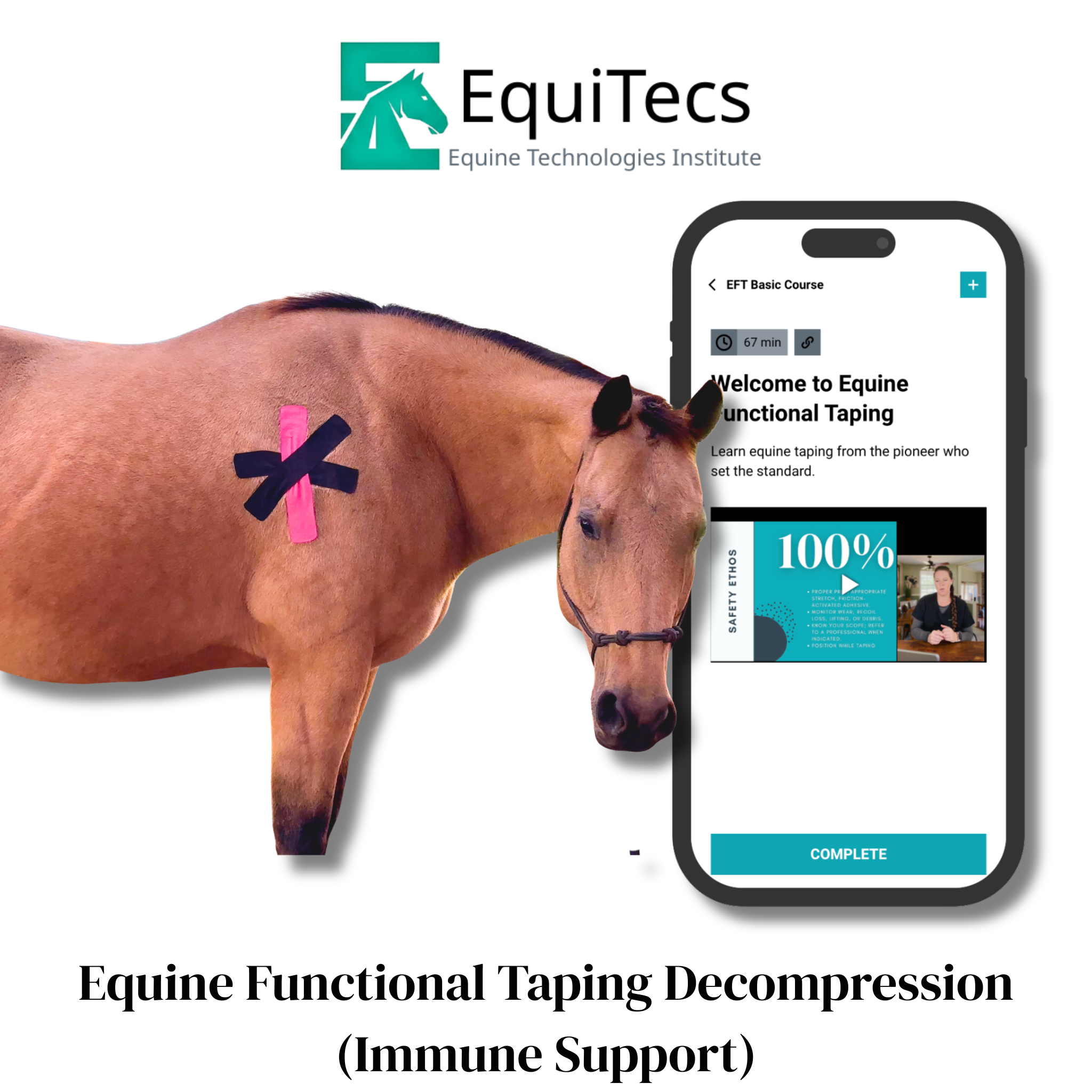 EquiTecs EFT Application Library