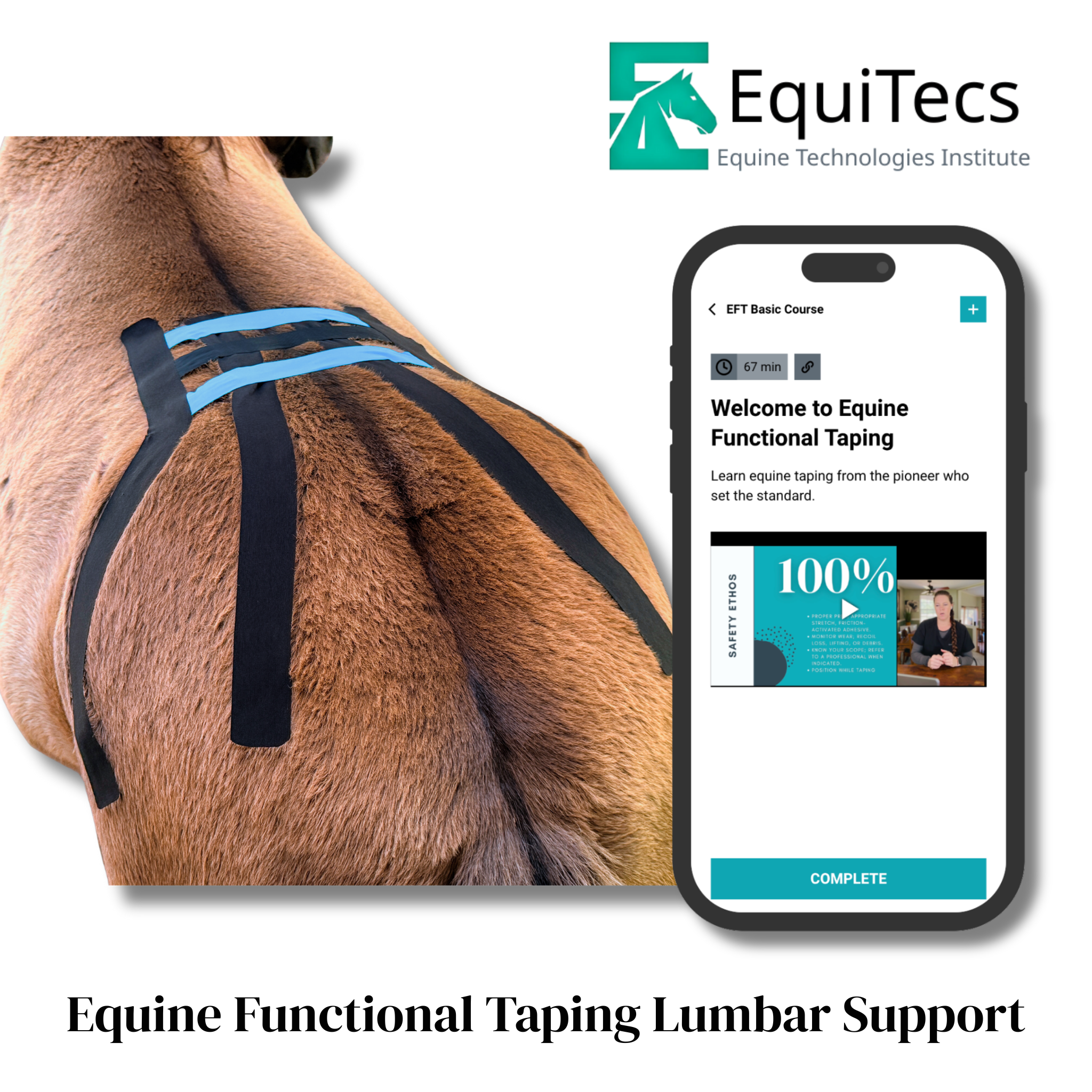 EquiTecs EFT Application Library