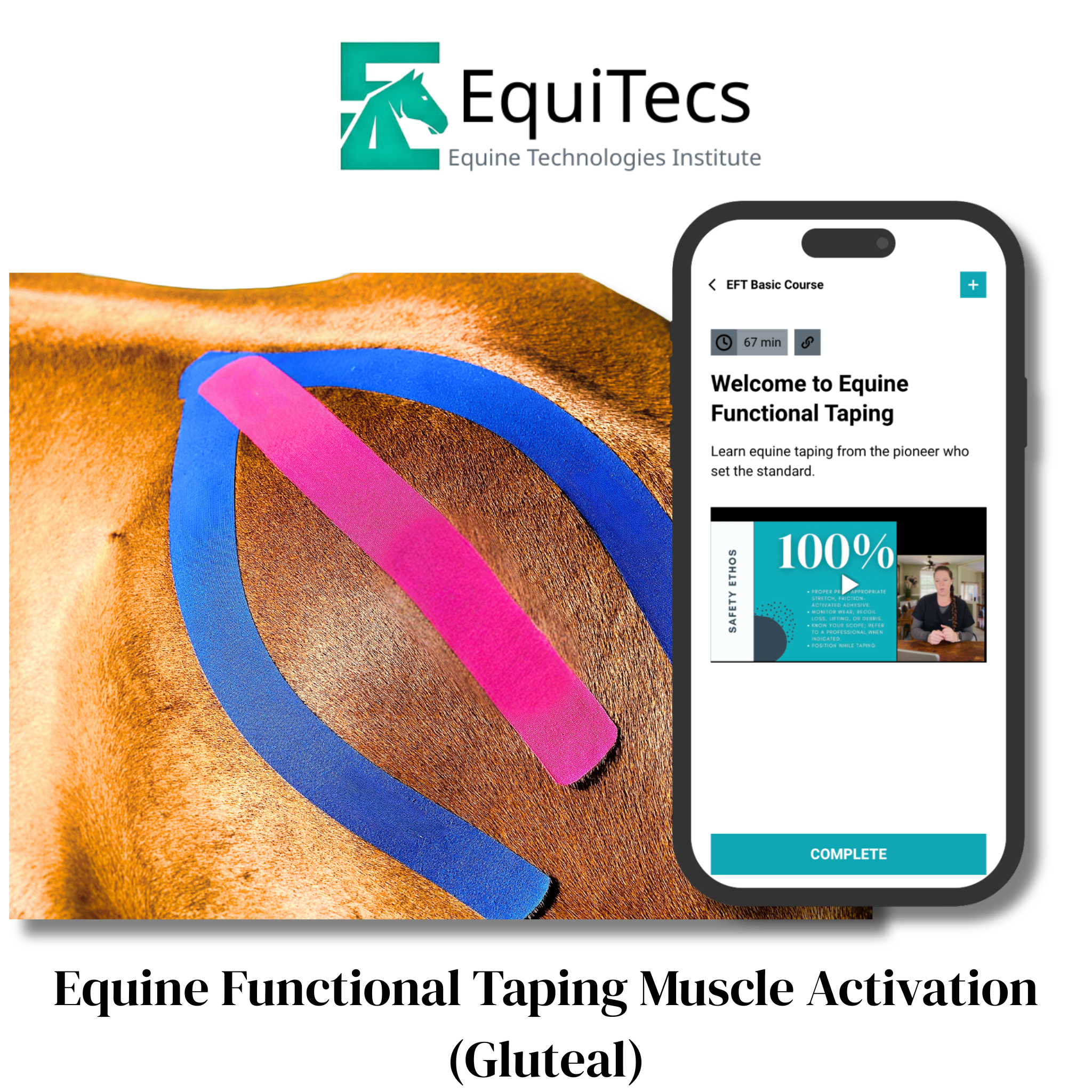 EquiTecs EFT Application Library