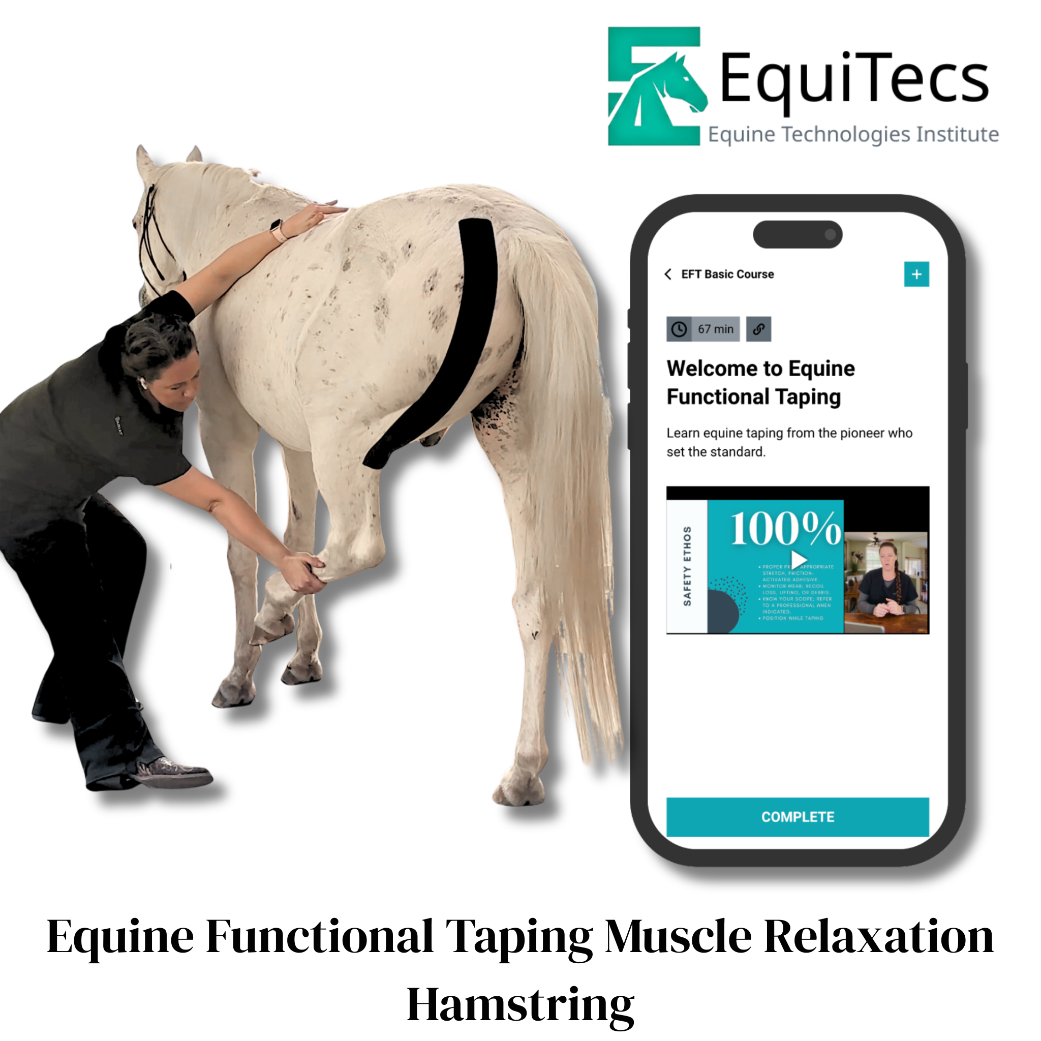 EquiTecs EFT Application Library