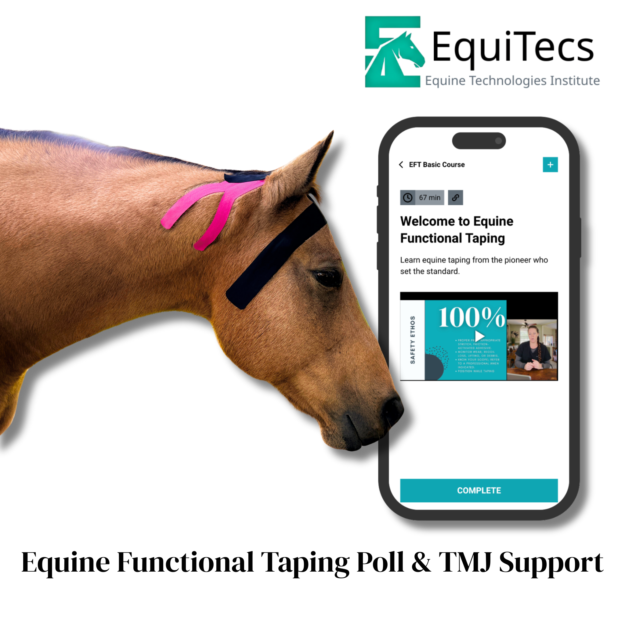 EquiTecs EFT Application Library