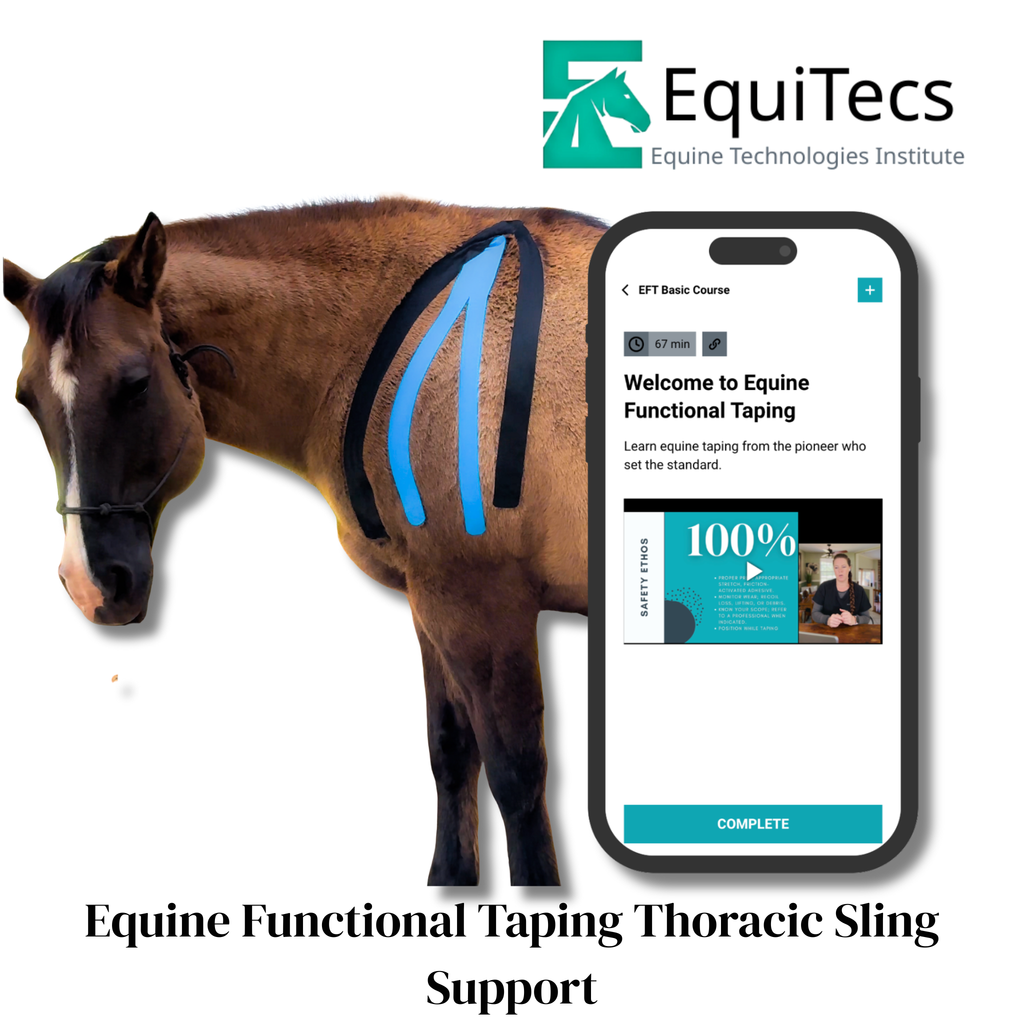 EquiTecs EFT Application Library