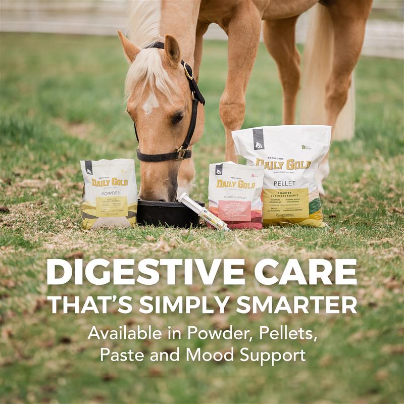 Daily Gold® - Horse Gut Supplements