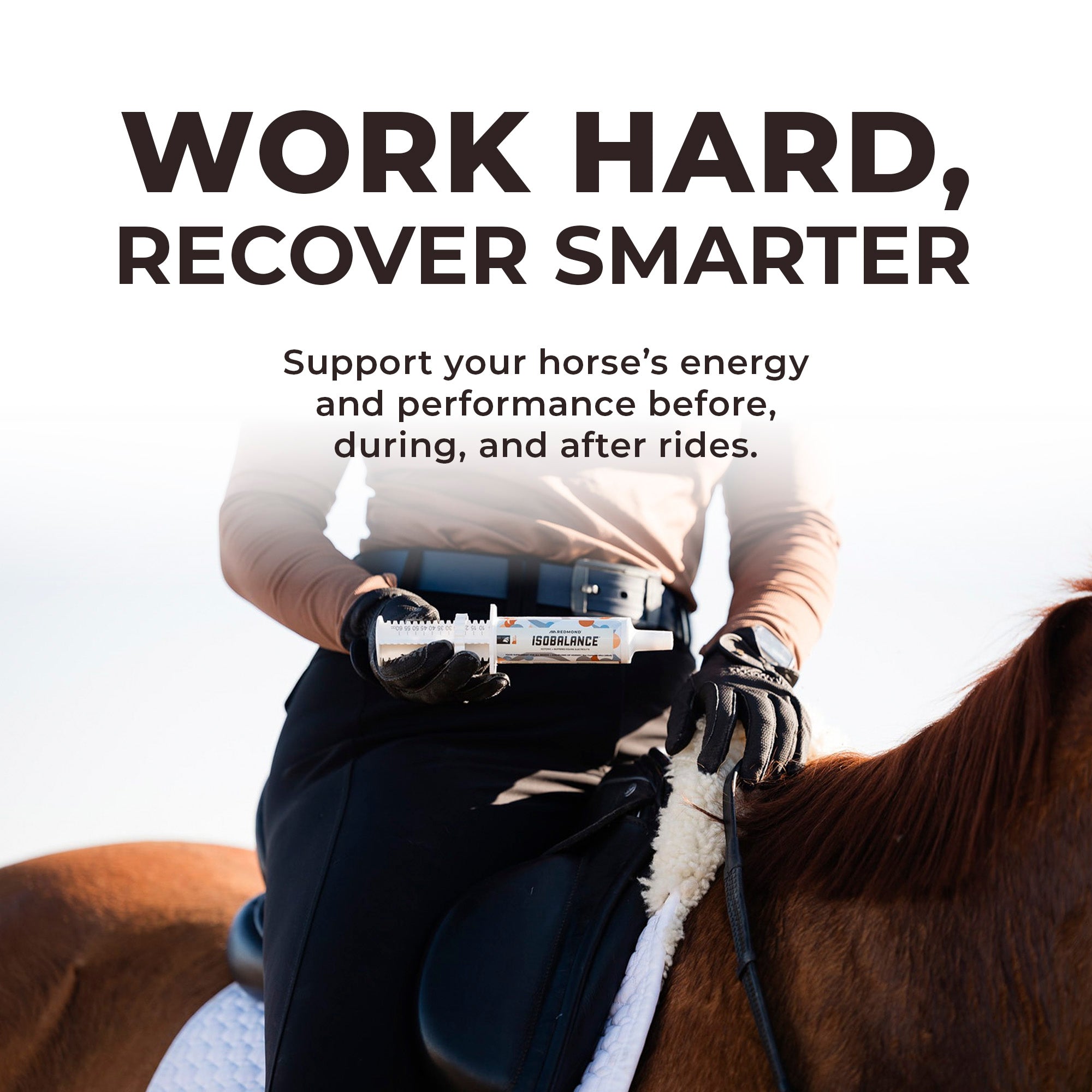 IsoBalance - Horse Electrolyte Paste