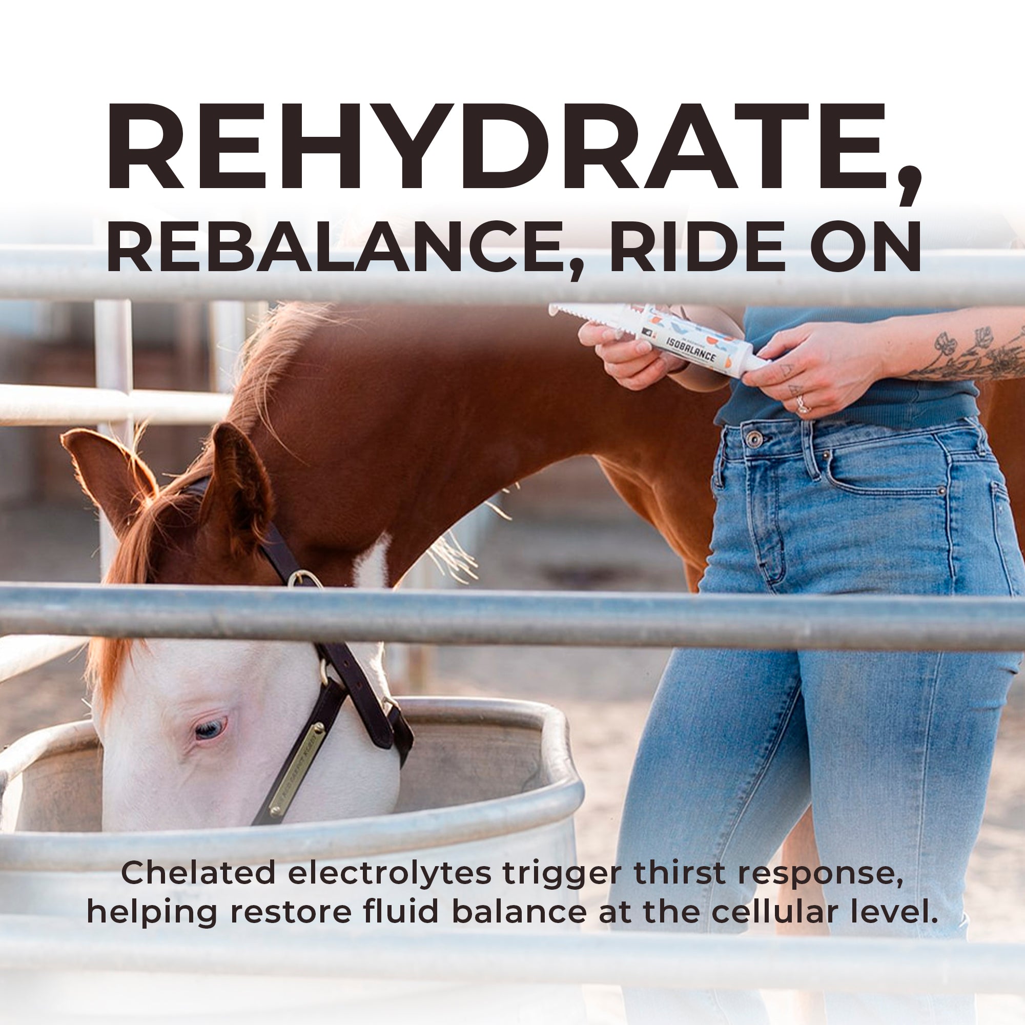 IsoBalance - Horse Electrolyte Paste