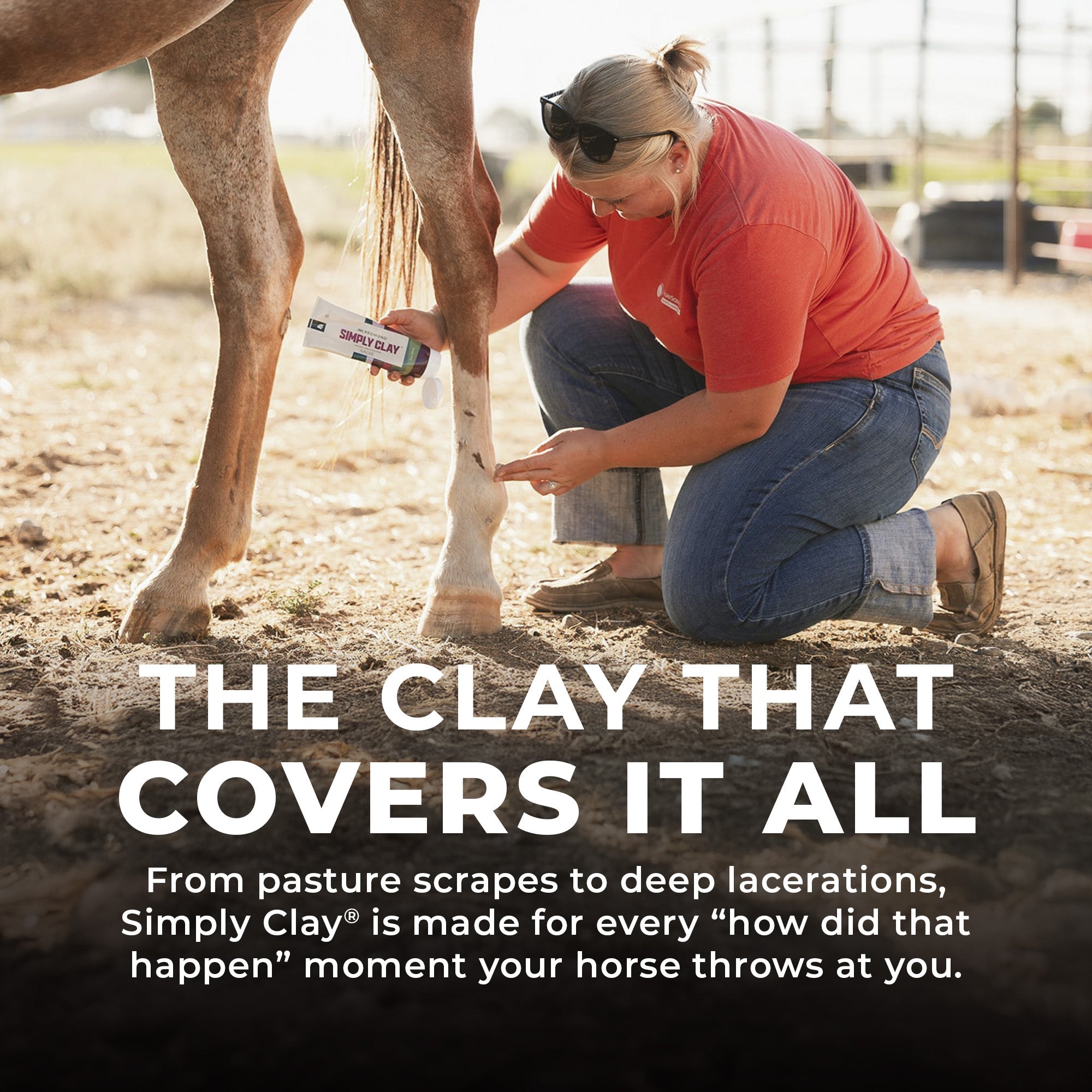 Simply Clay Salve – Bentonite Clay Horse Wound Care