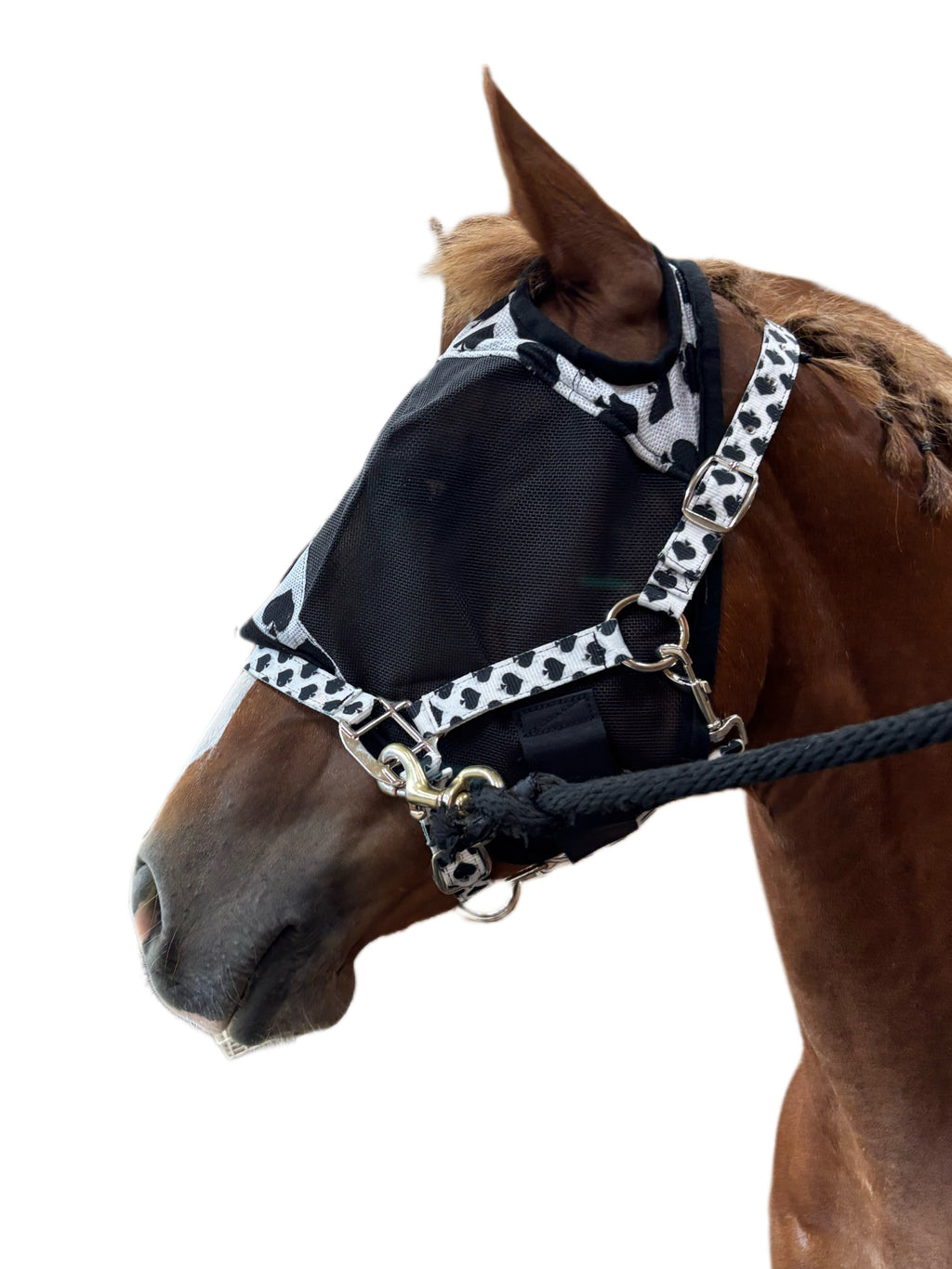 Smokin Spades Nylon Quick-Release Horse Halter