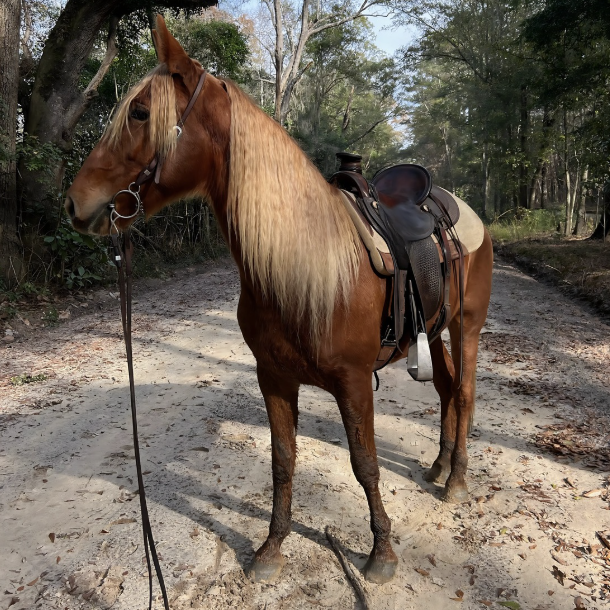 3-in-1 Perfector Leave-in Remedy