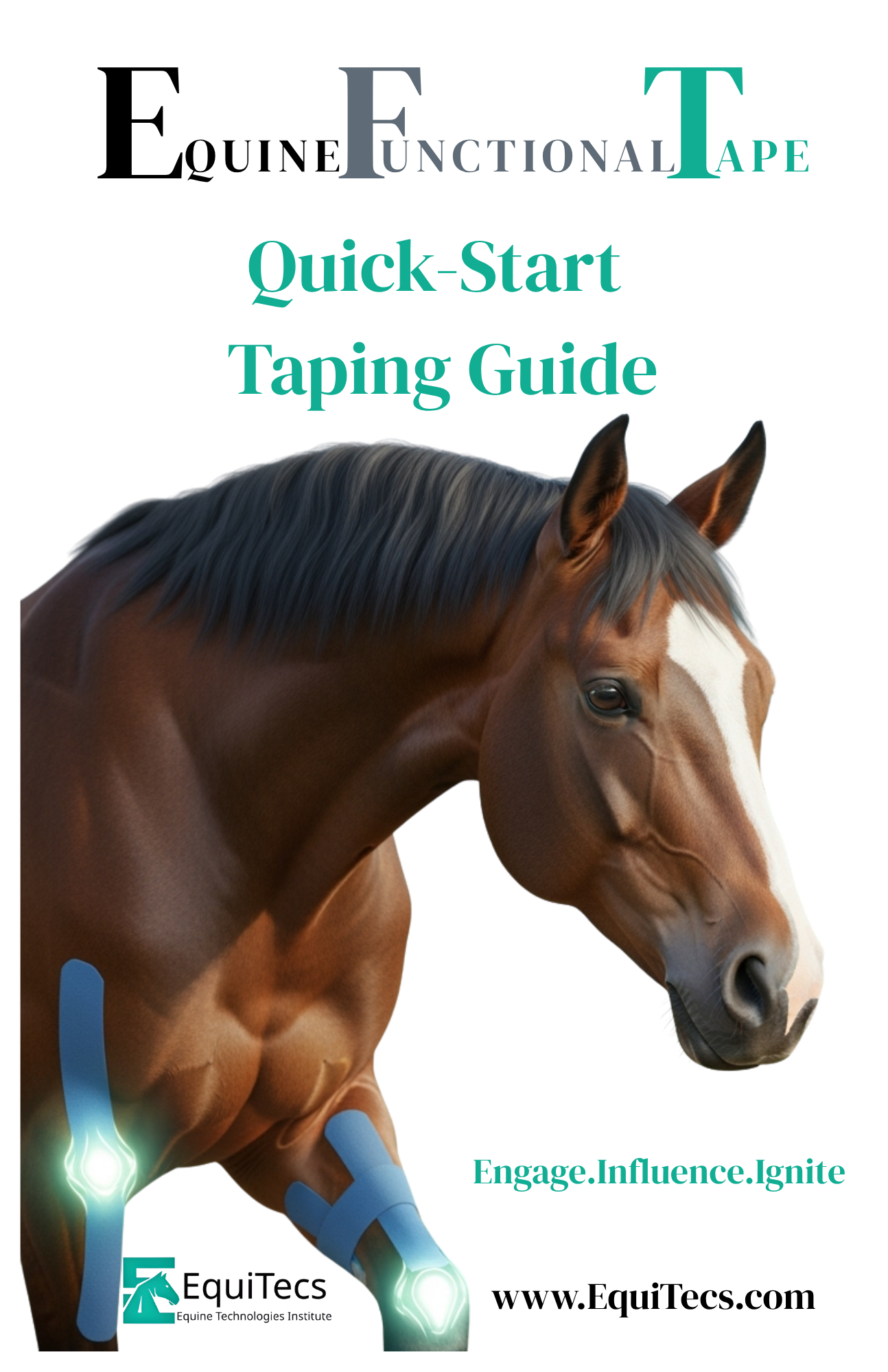EquiTecs Quick Start Taping Guide