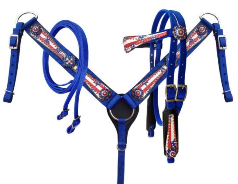 Stars/Stripes Nylon Tack Set