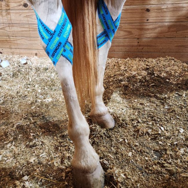 EQUINE|DEFENDER™ K Tape