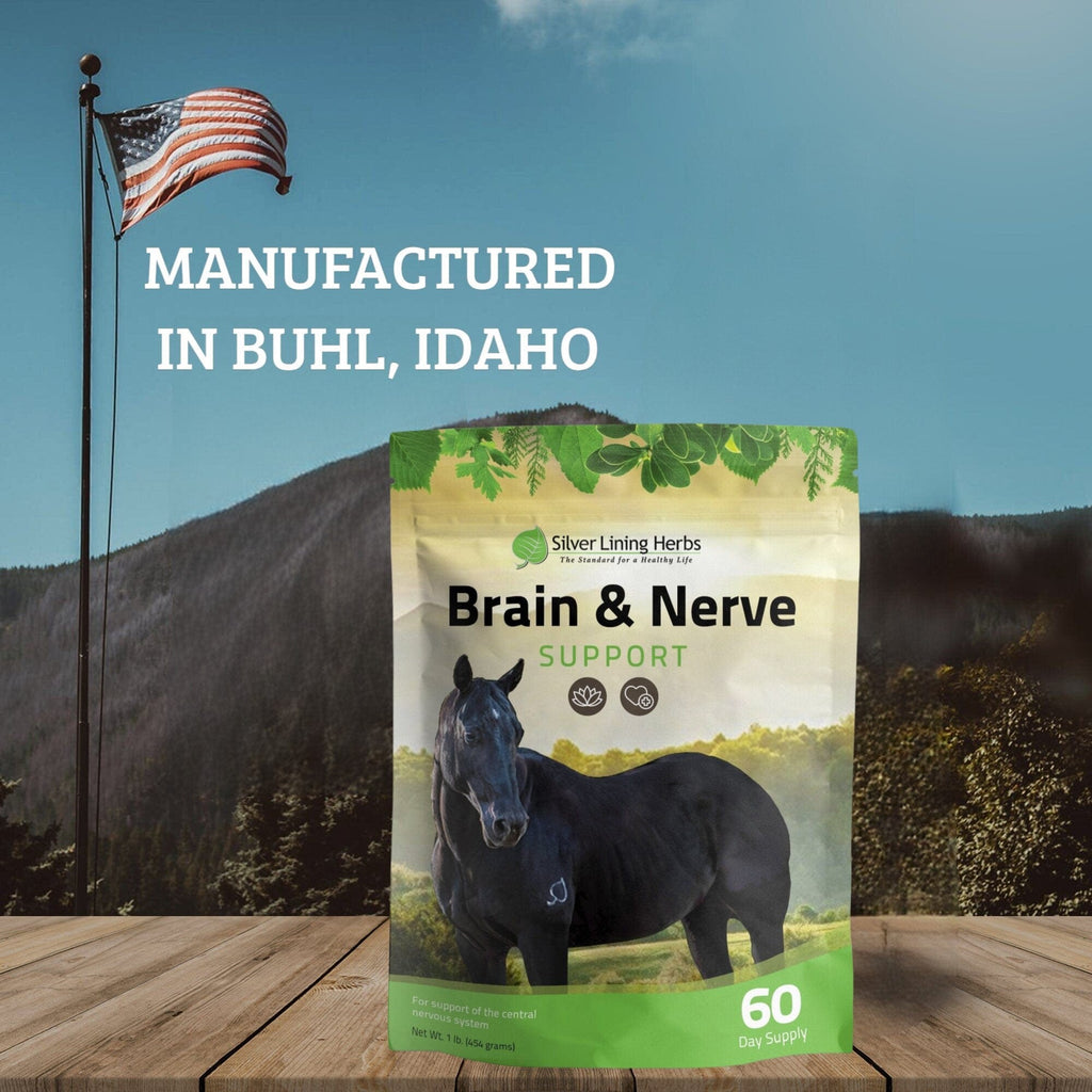 Brain & Nerve Support for Horses