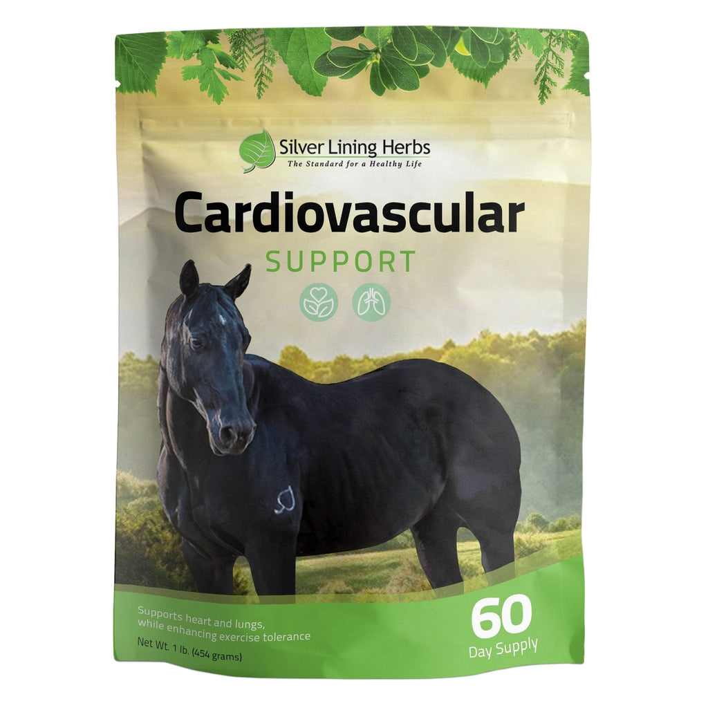 Cardiovascular Support for Horses