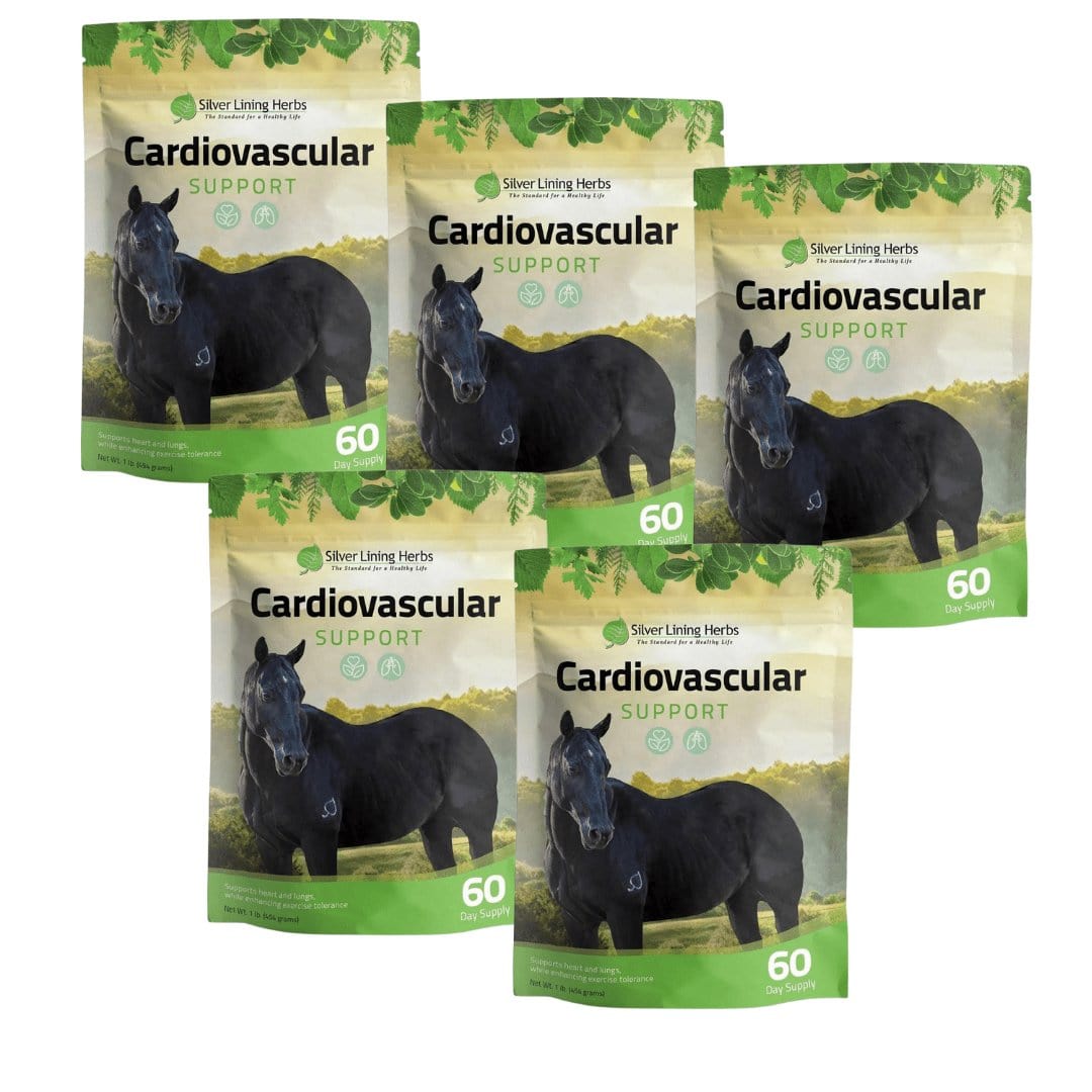 Cardiovascular Support for Horses