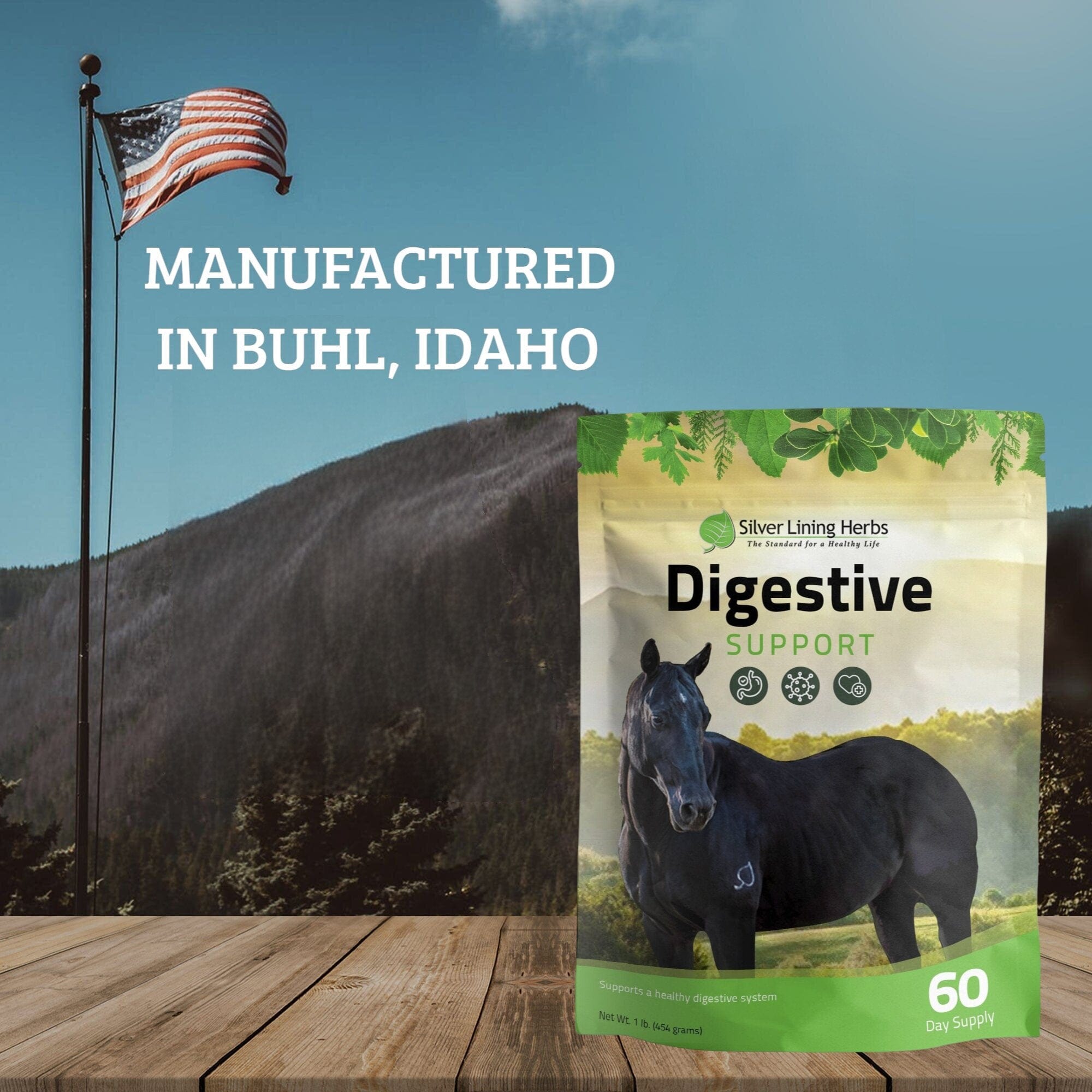 Digestive Support for Horses
