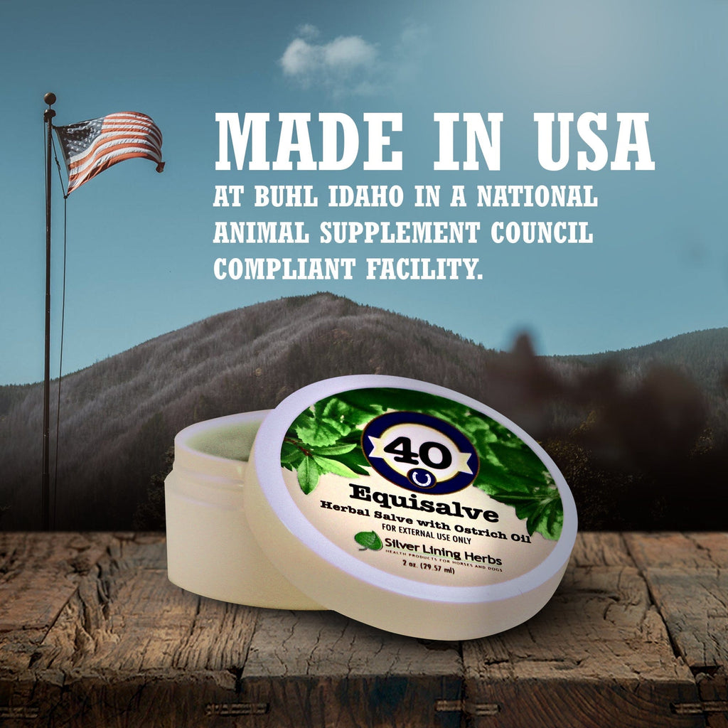 Equisalve For Horses