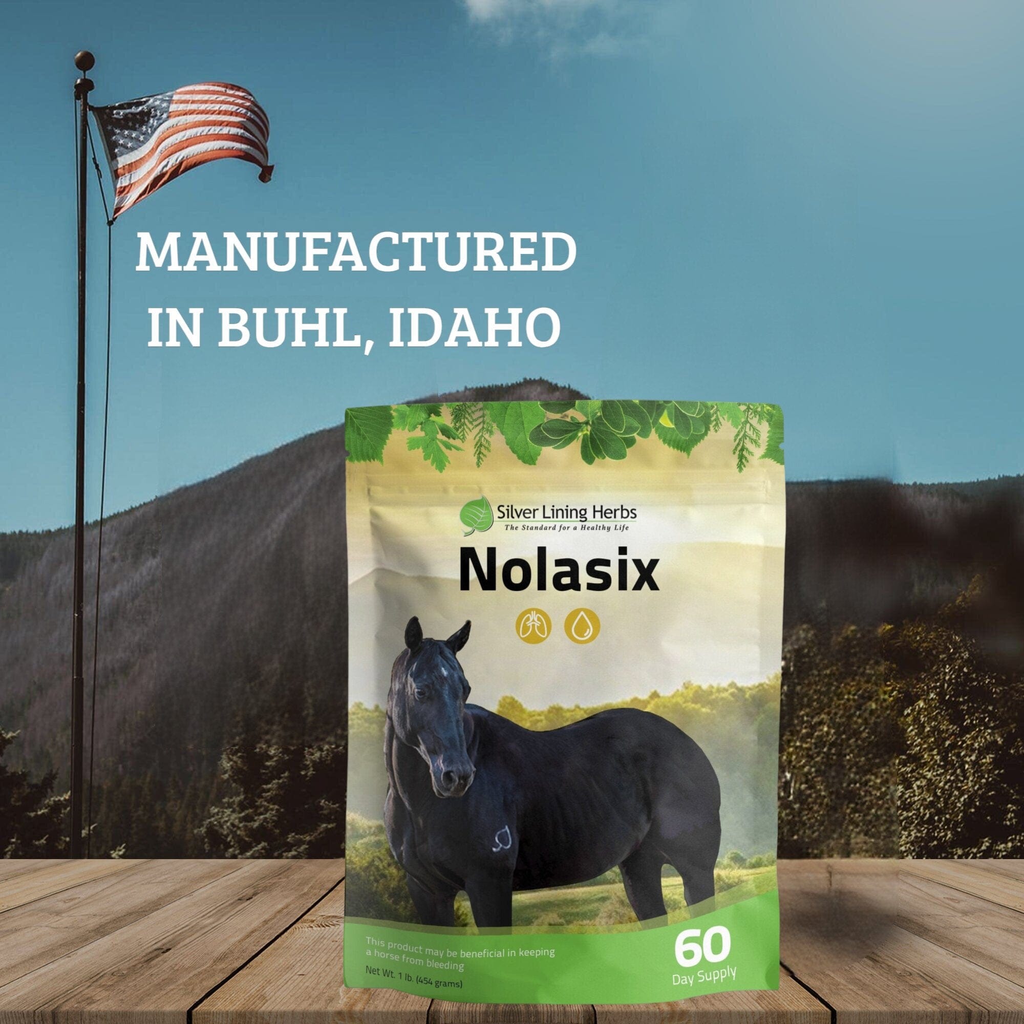 Gut Support for Horses