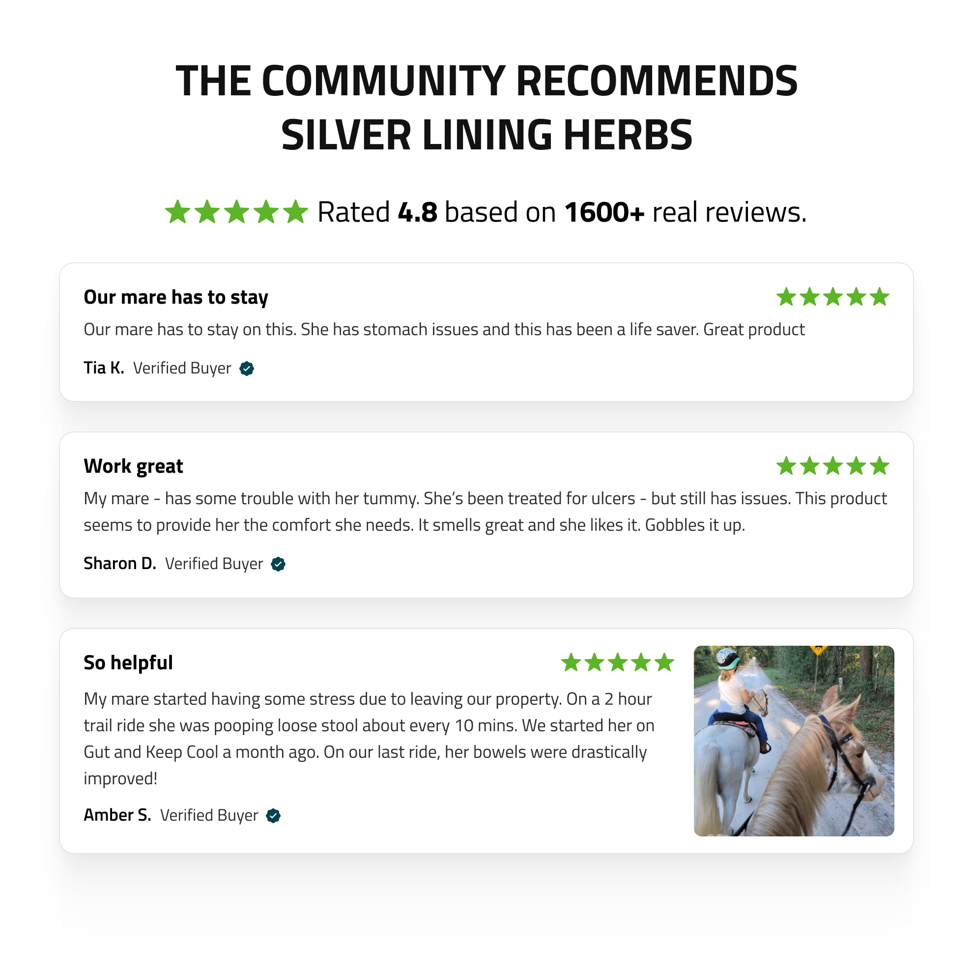 Gut Support for Horses