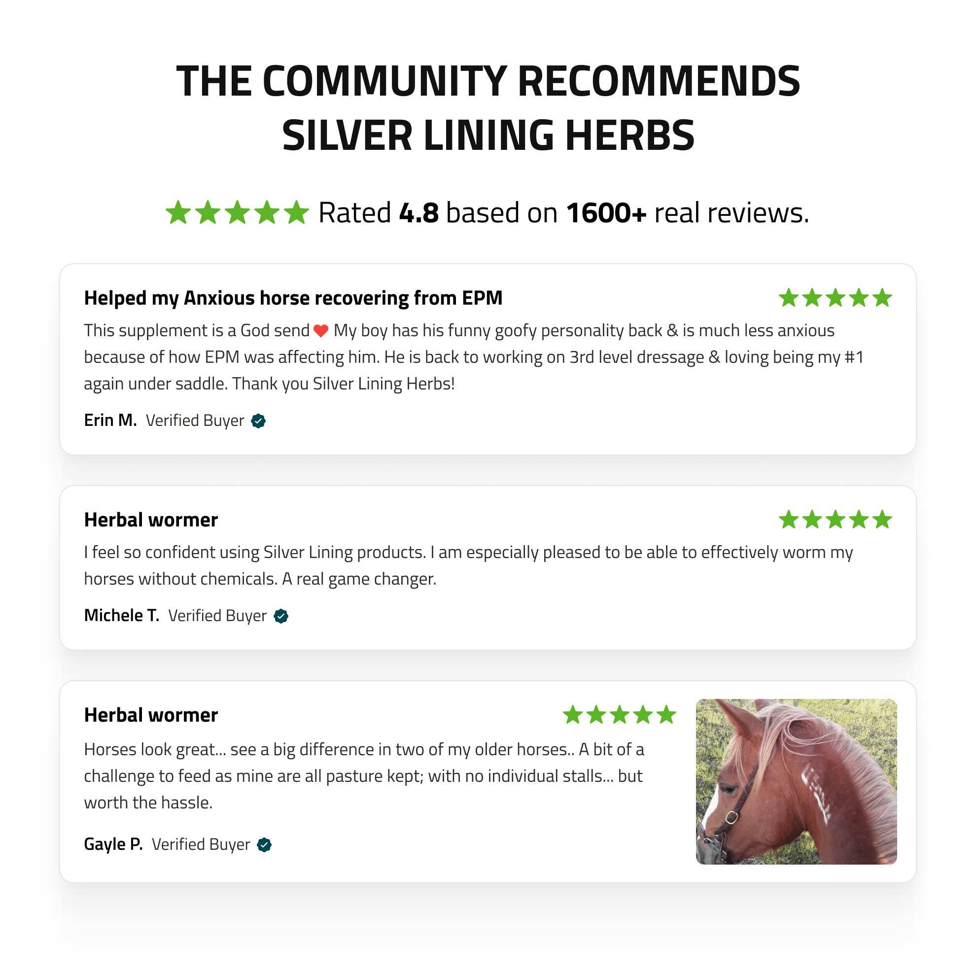 Herbal Wormer for Horses