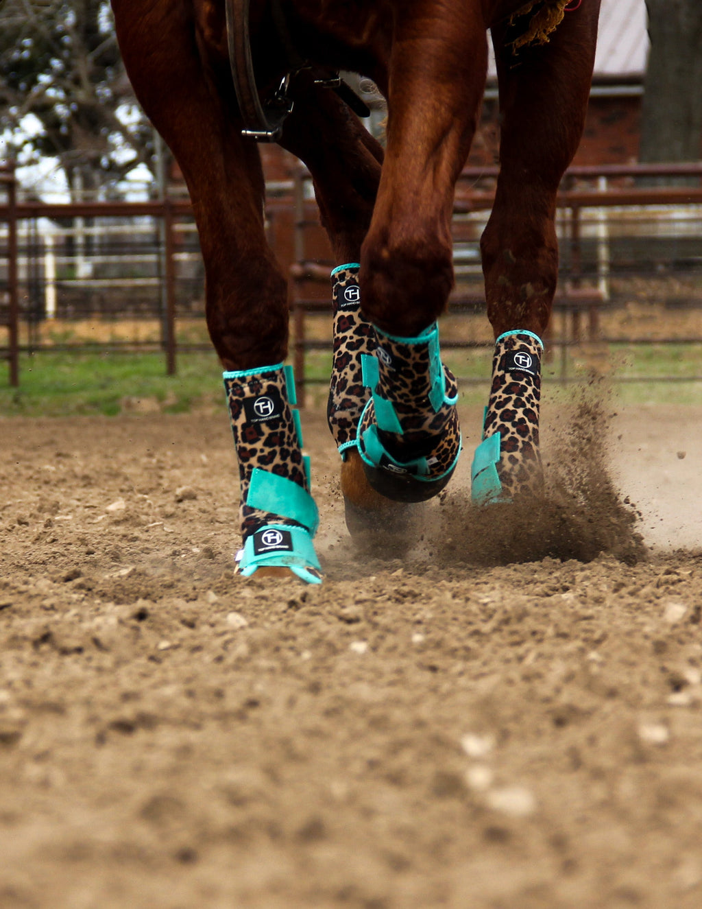 Cheetah Mint Sport Boots