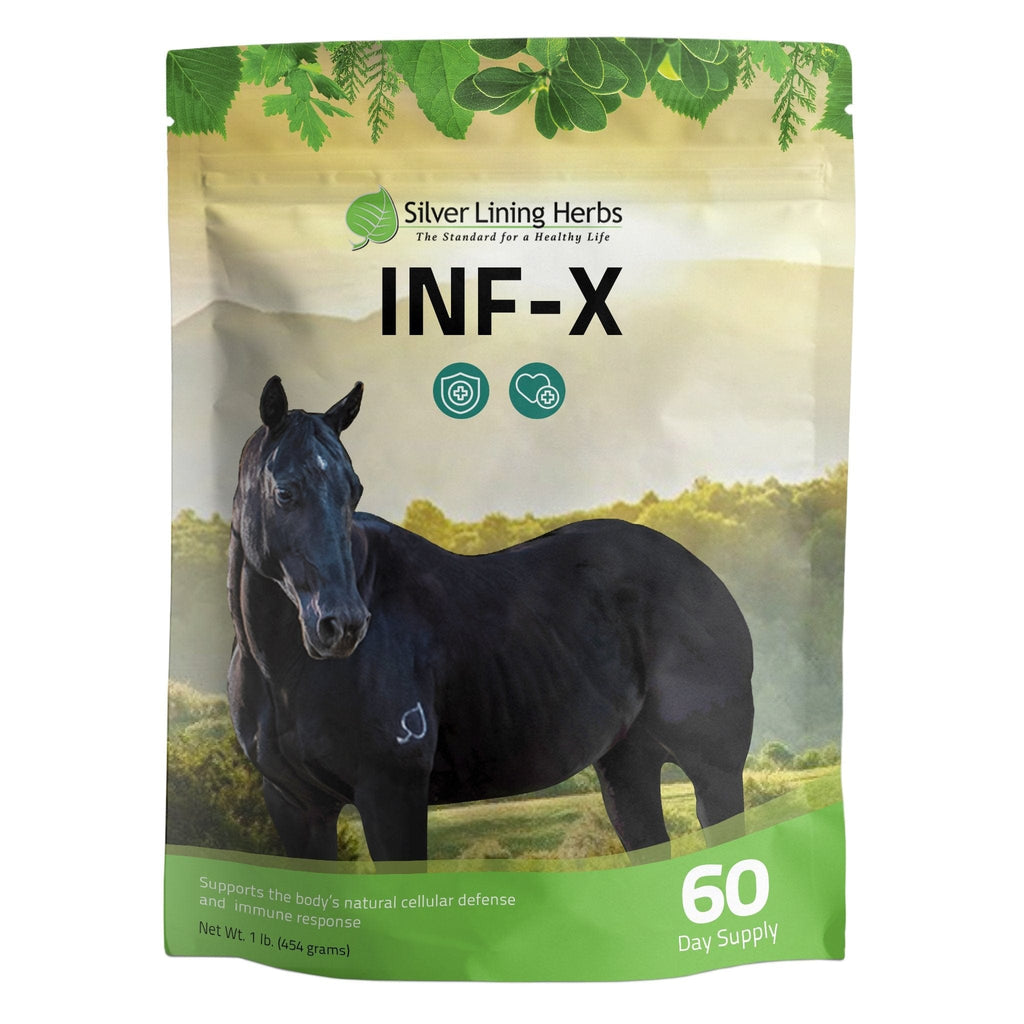 INF-X for Horses
