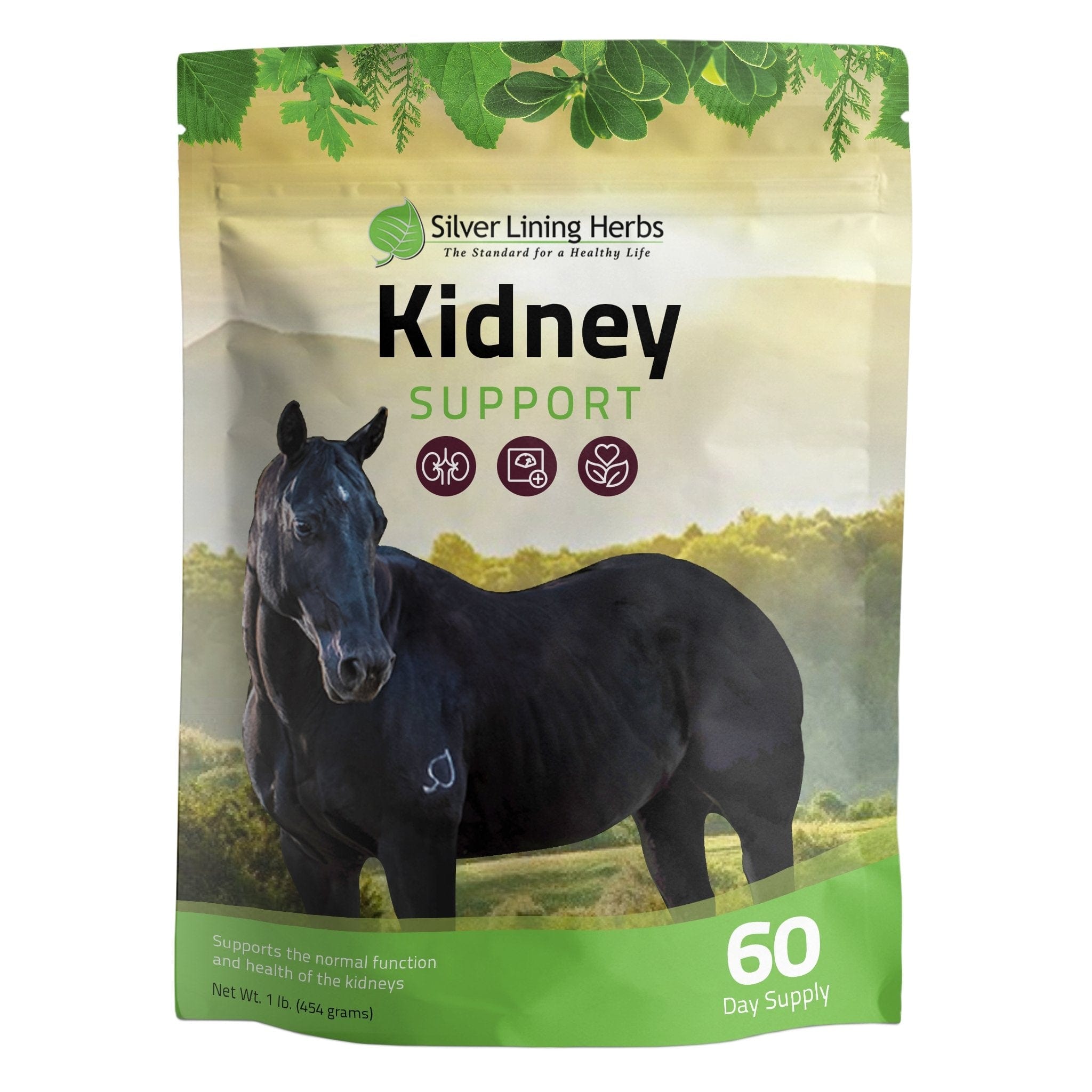 Kidney Support for Horses