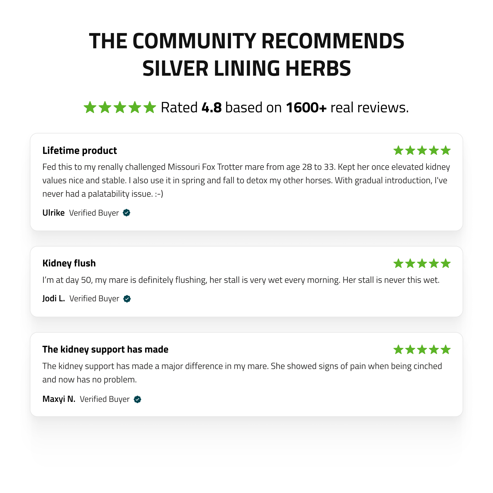 Kidney Support for Horses