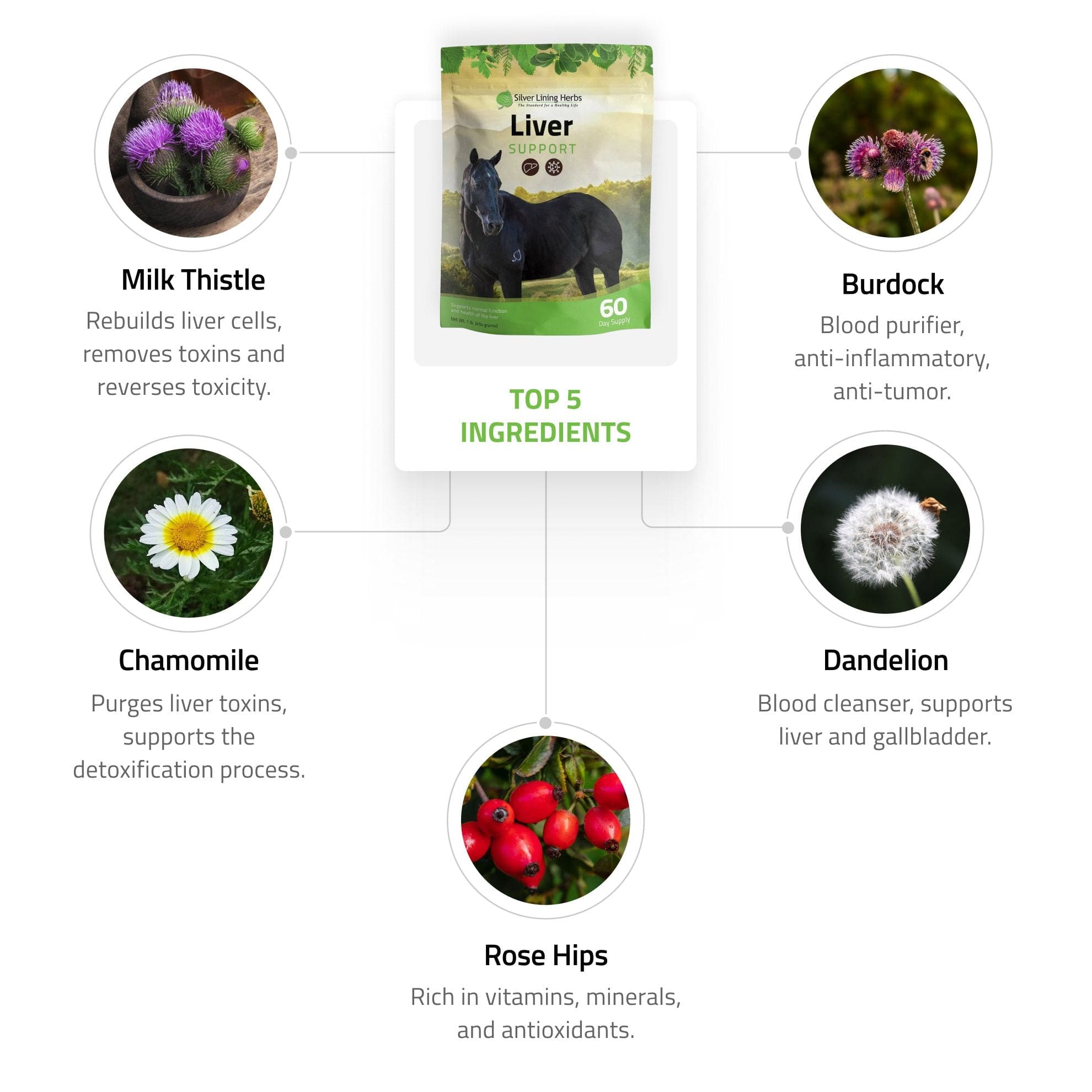 Liver Support for Horses