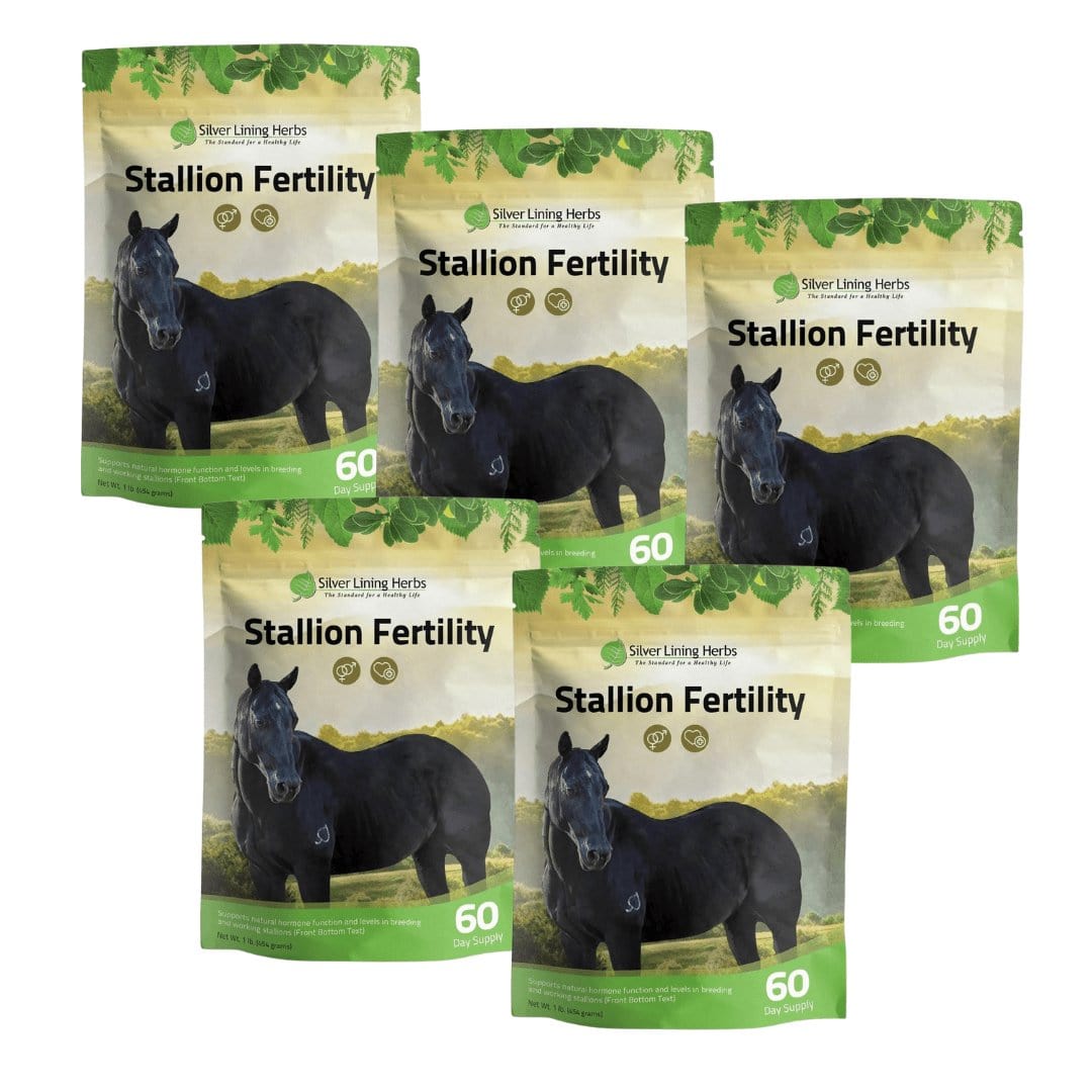 Stallion Fertility For Horses