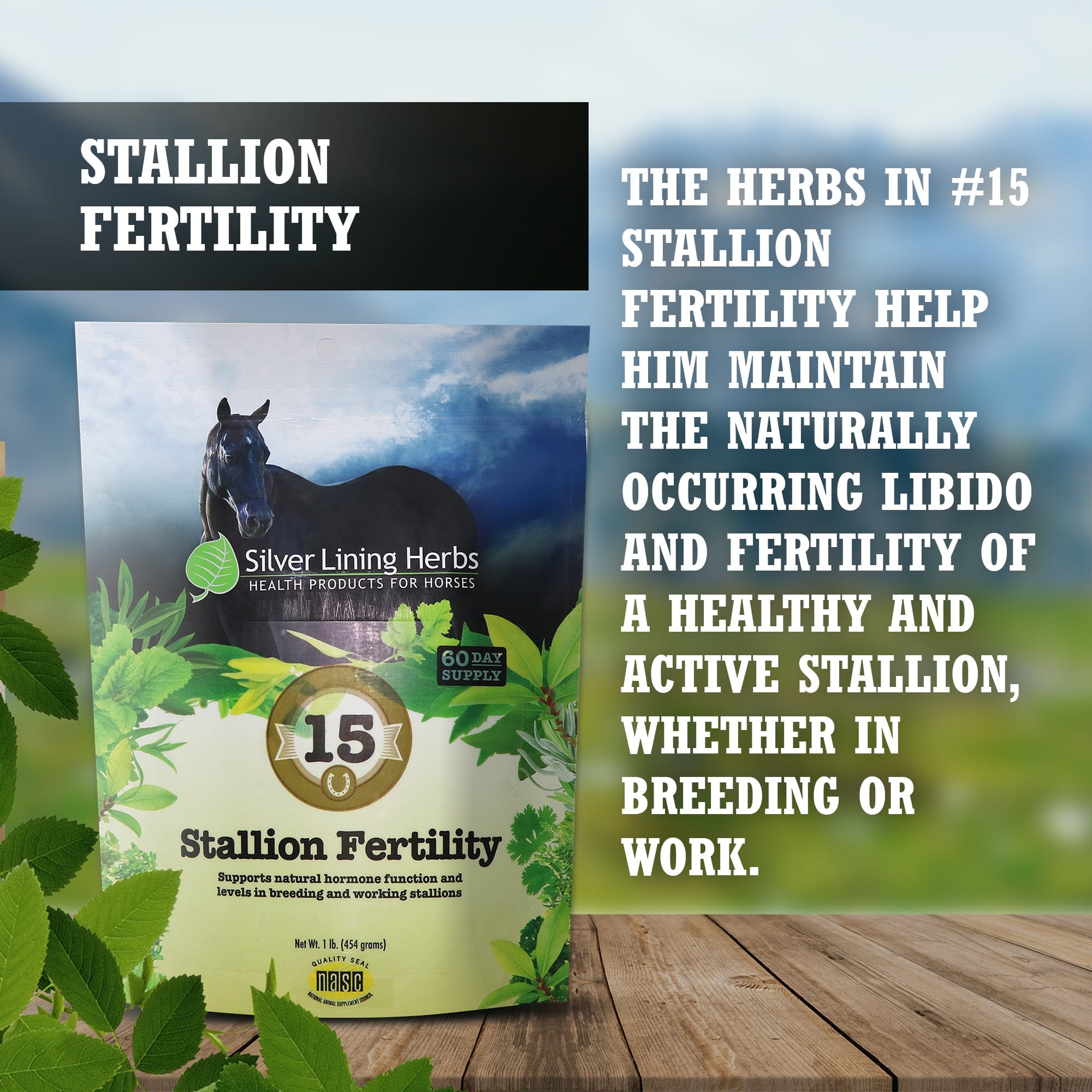Stallion Fertility For Horses