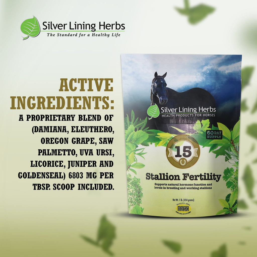 Stallion Fertility For Horses